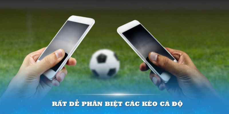 Rất dễ phân biệt các kèo cá độ